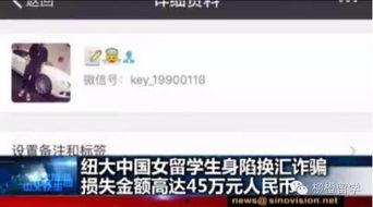 网 独家爆料官网,网爆官网背后的惊人真相
