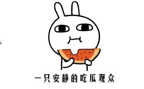 吃瓜抖音 吃瓜网在线观看视频