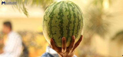 最近大瓜事件,揭秘明星隐私风波背后的真相